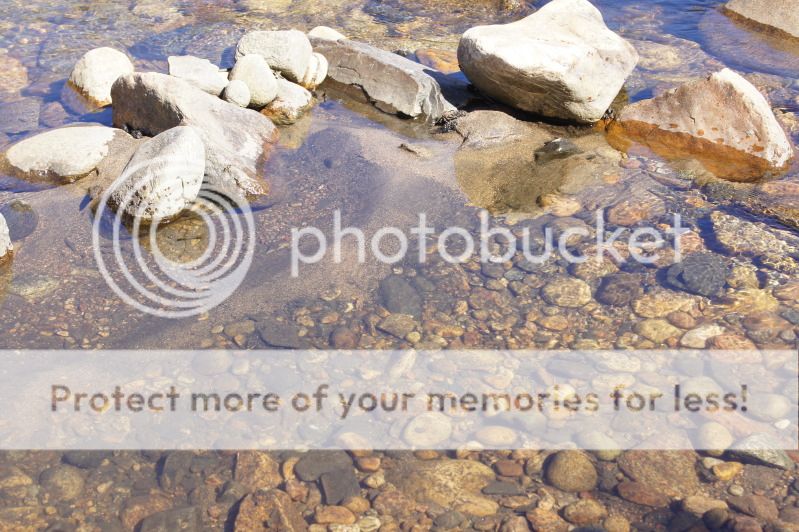 ATTN anthropologists/archaeologists is this a fish trap? TR Forums